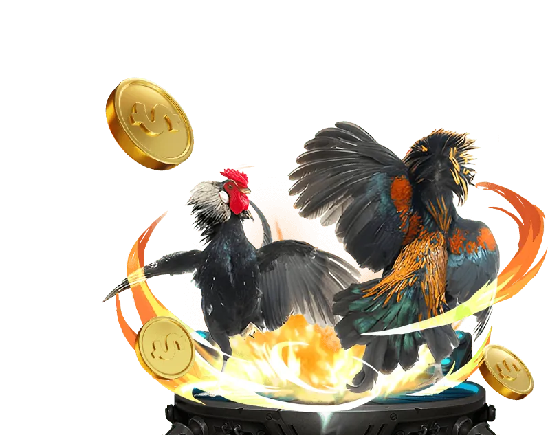 Tổng quan nền tảng Kwin, uy tín và bảo mật