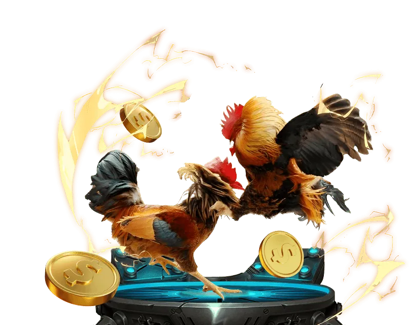 Ưu đãi VIP độc quyền cho thể thao kwin